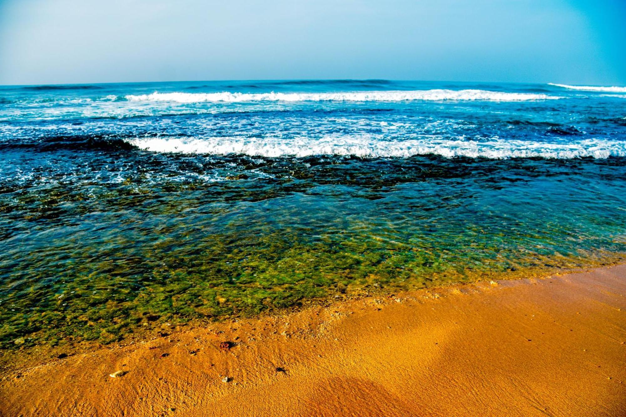 Ara Beach Resort Mirissa Kültér fotó