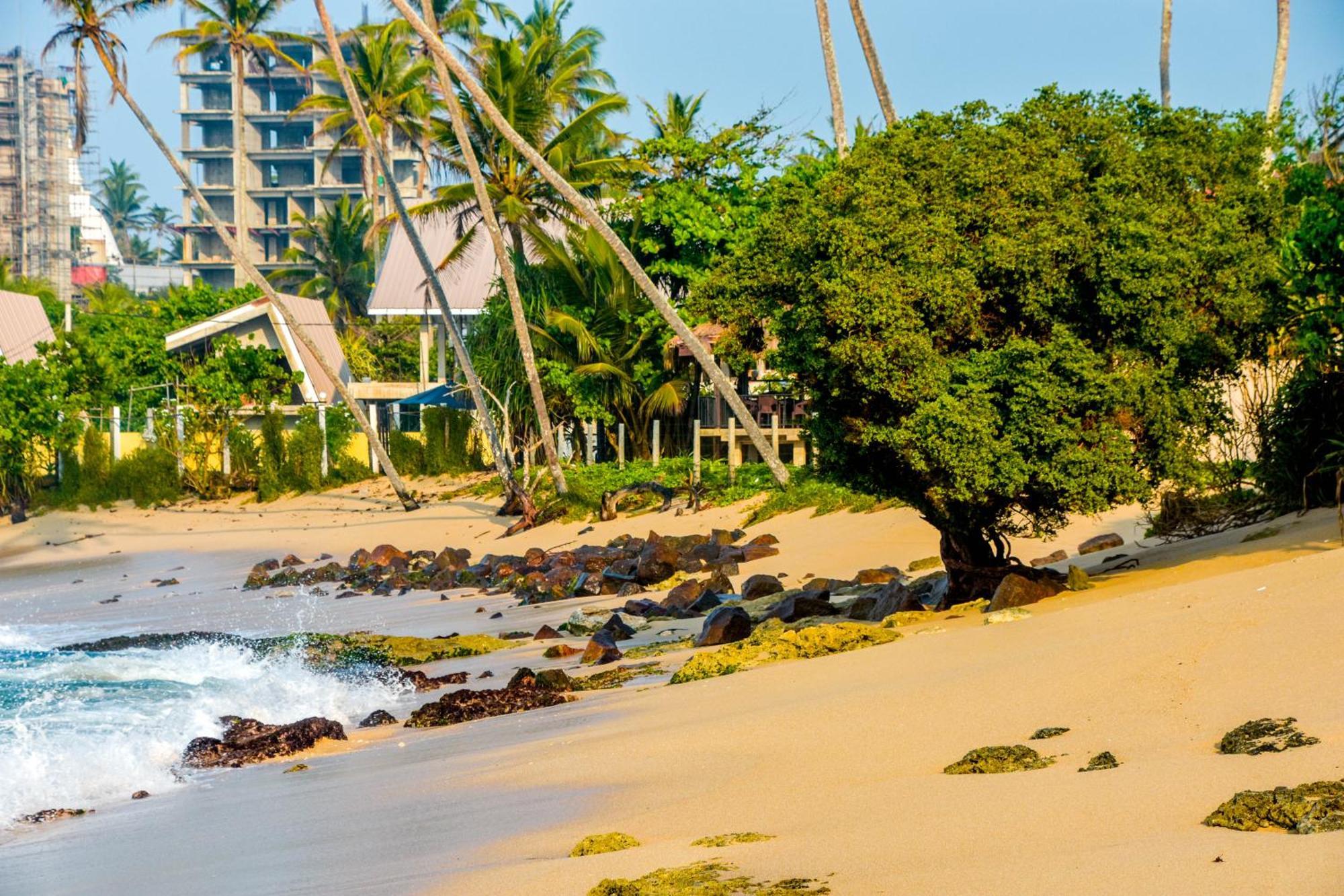 Ara Beach Resort Mirissa Kültér fotó